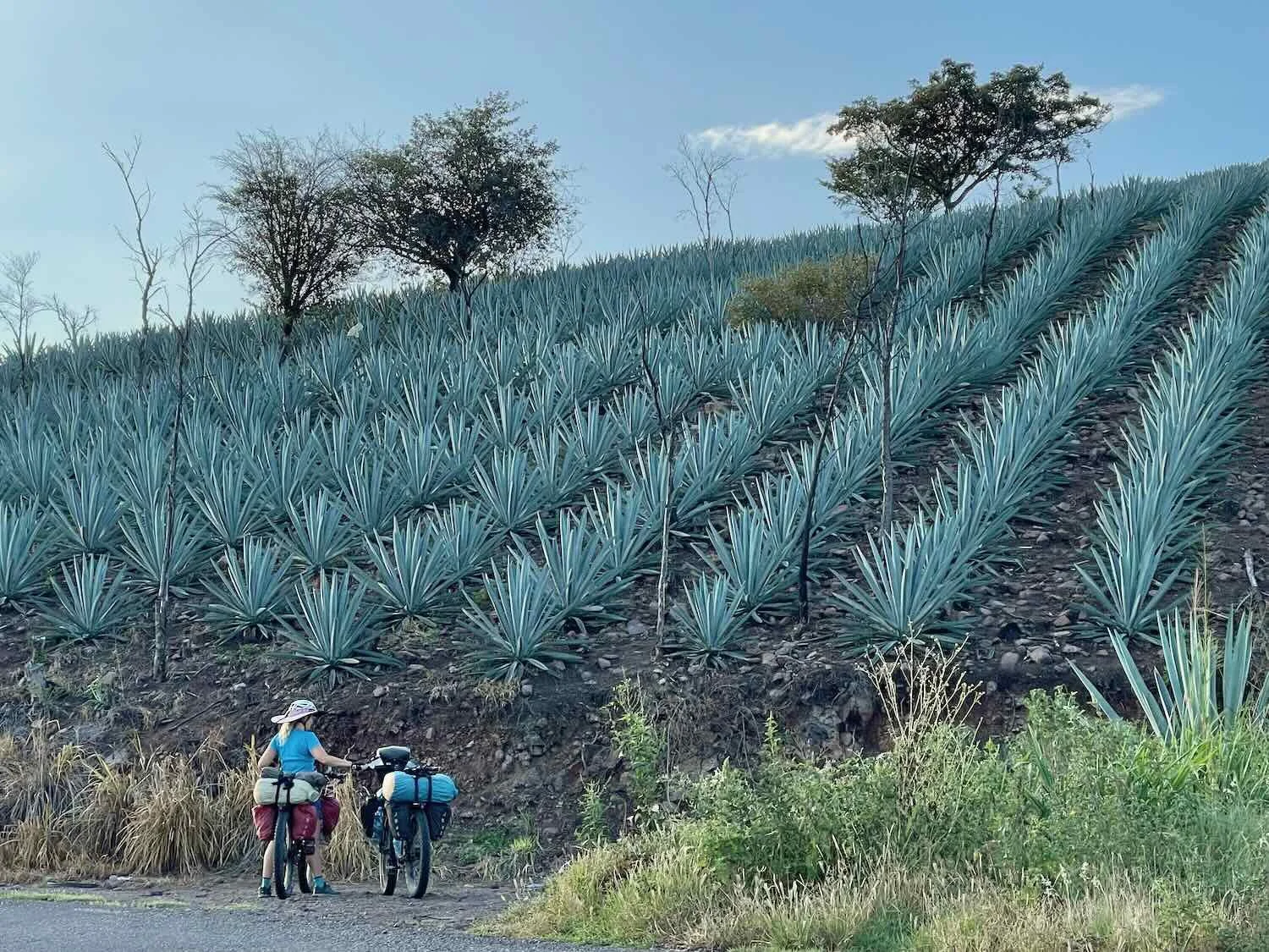 Mezcal Mountains and Windy Lowlands: Cycling from Oaxaca to